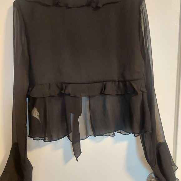 American Eagle Outfitters Black Sheer Blouse - Picture 5 of 5